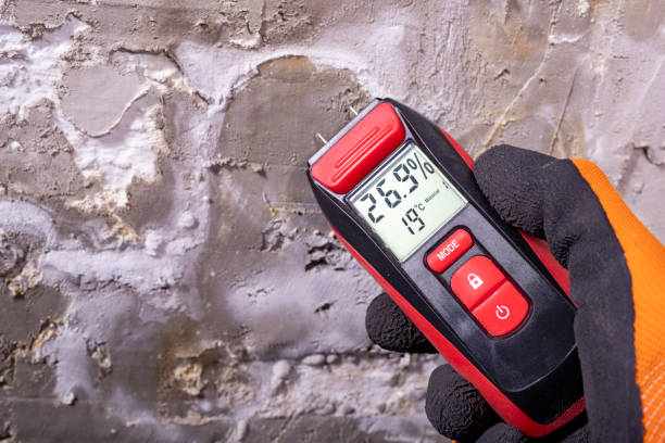 Mold Removal and Inspection in Denton, TX